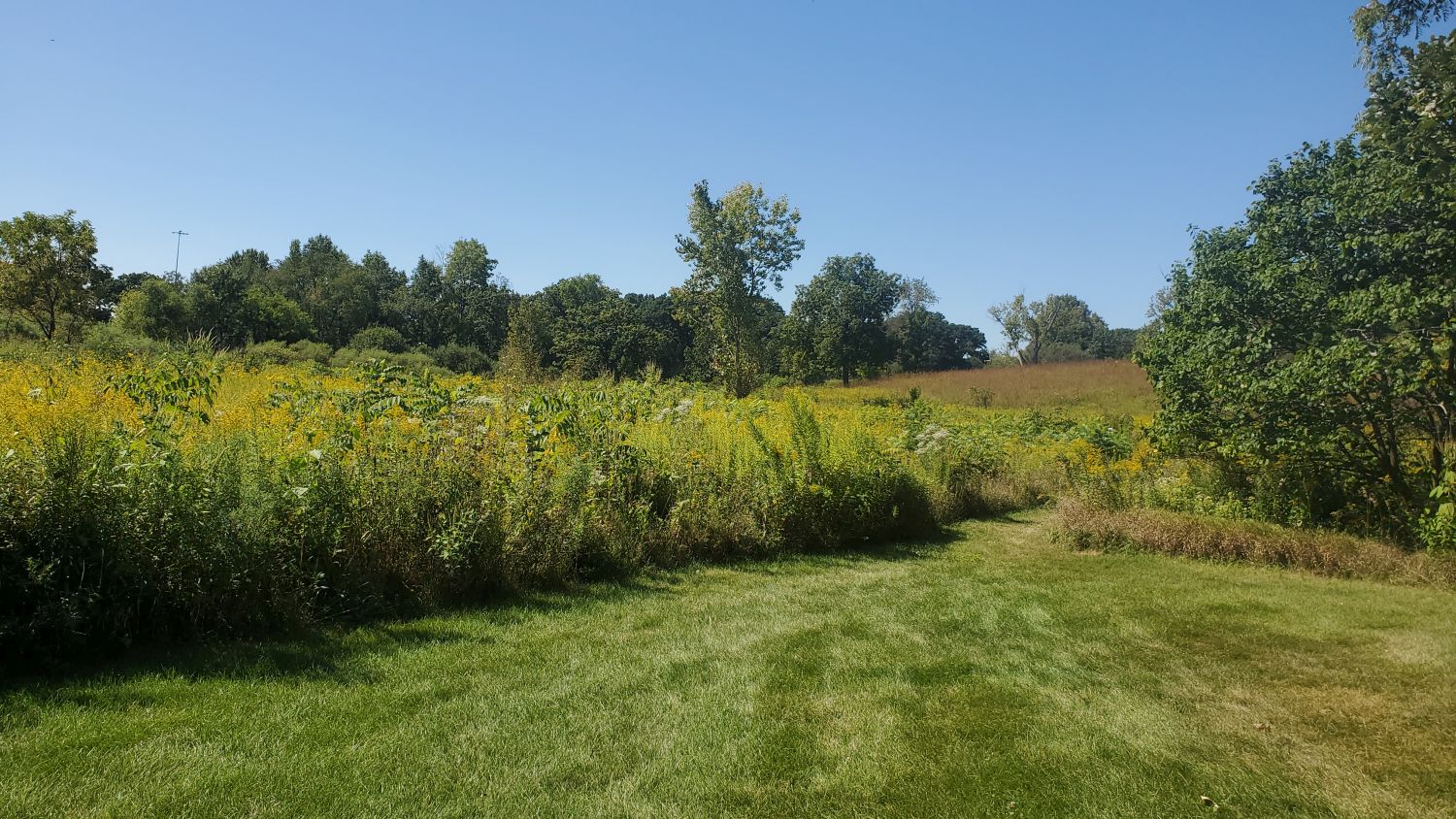 James O'Breen Nature Area 